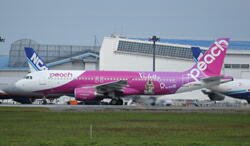 ｐｅａｃｈ　Ｖｉｏｌｅｔｔａ×ＲＵＮＥ（２）