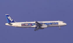 ＡＮＡ　Ａ３２１　日本の風景